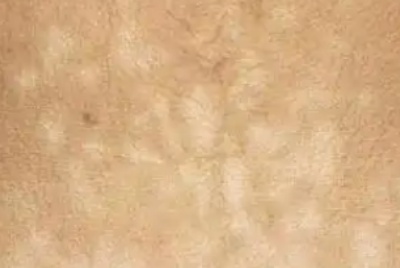phpa9VYsl